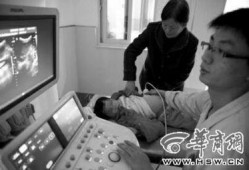 东兴肥尸爆料案件最新,最新爆料揭示惊人内幕